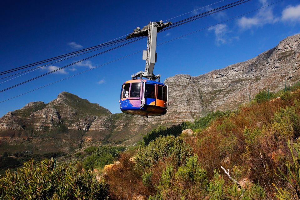 From Cape Town: Table Mountain Penguins & Cape Point Tour - Good To Know