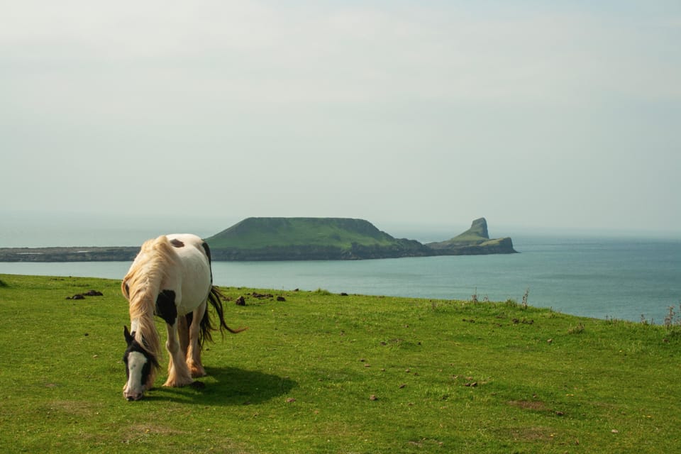 From Cardiff: Beautiful Golden Gower Full-Day Private Tour - Good To Know