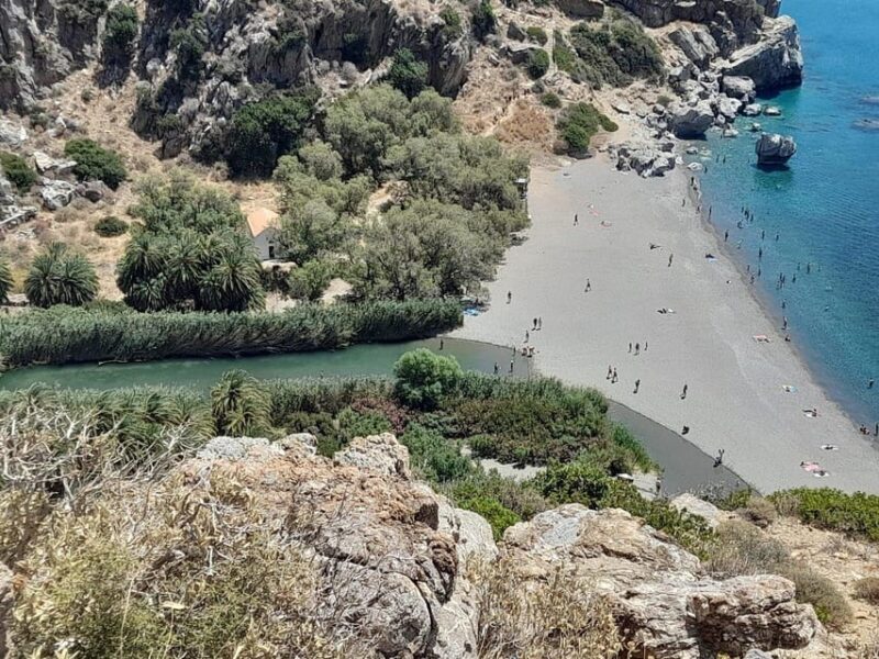 From Chania: Preveli Palm Beach and Kourtaliotis Waterfalls - Good To Know