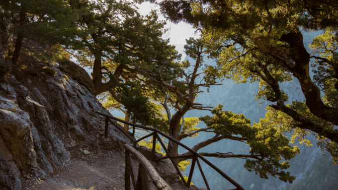From Chania: Samaria Gorge Full-Day Guided Hiking Tour - Frequently Asked Questions