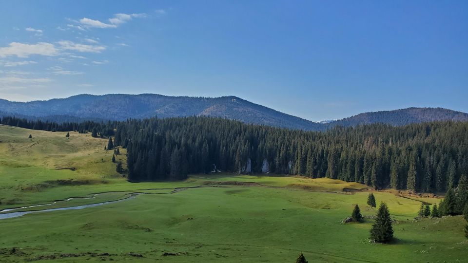 From Cluj-Napoca: Carpathian Mountains Guided Scenic Hike - Good To Know