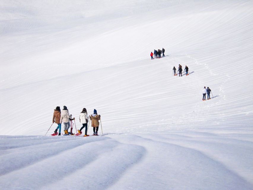 From Cluj: Winter Walking Trip on the Great Mountain - Good To Know