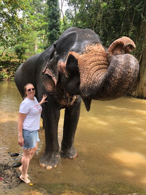 From Colombo : Kandy Privet Full Day Tour With Pinnawala - Good To Know