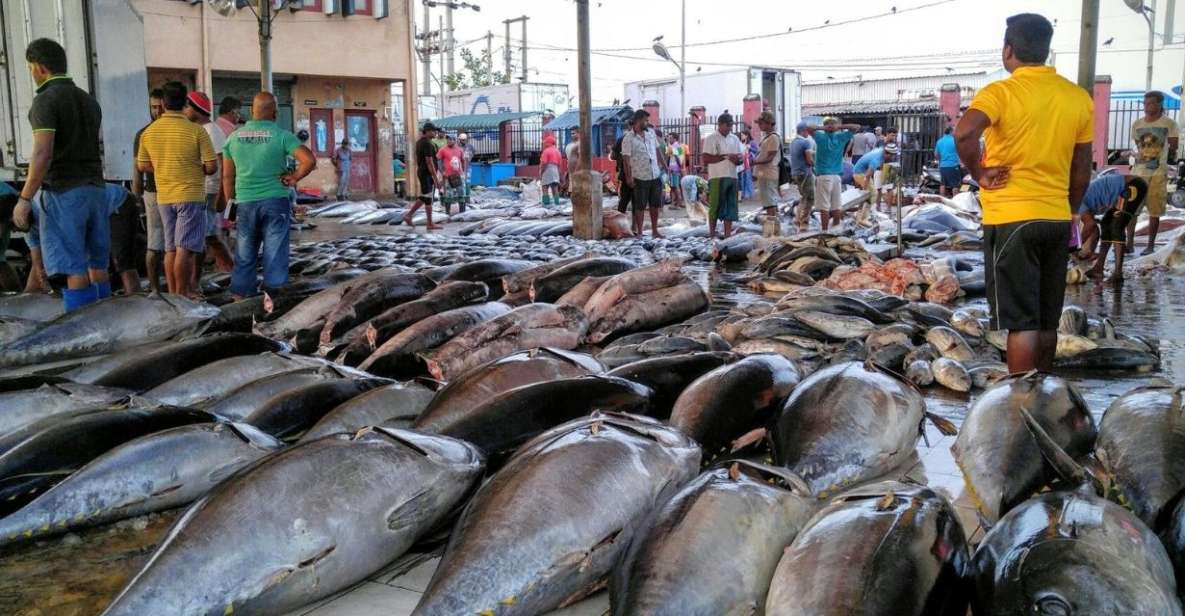 From Colombo: Negombo Fishing Village Tour by Tuk-Tuk - Good To Know