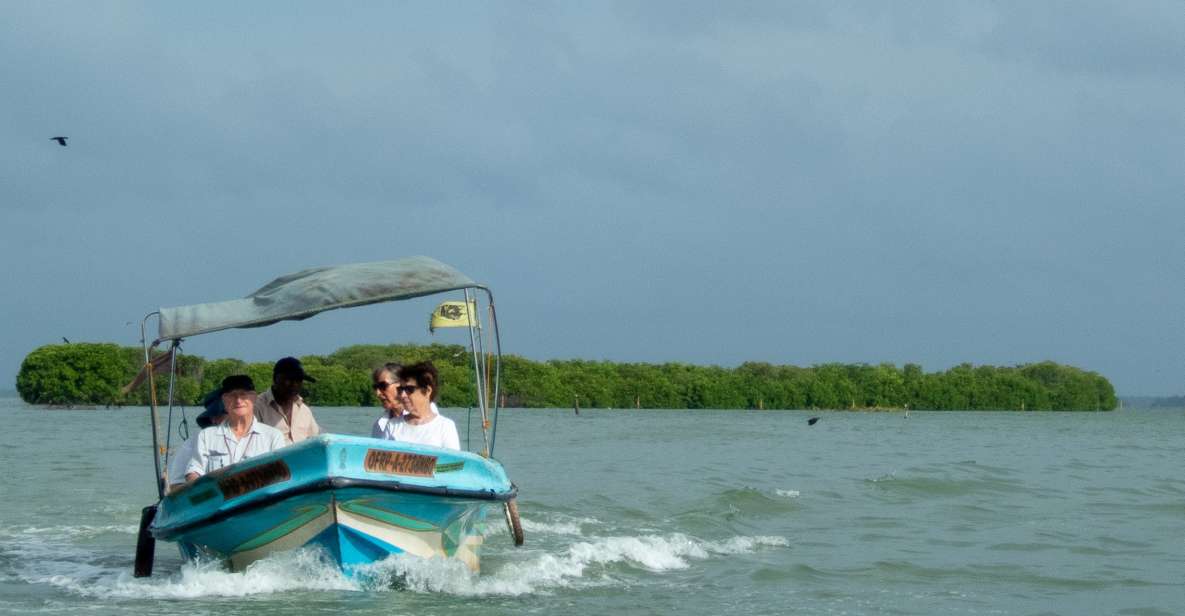 From Colombo: Negombo Lagoon (Mangrove )Boat Excursion - Good To Know