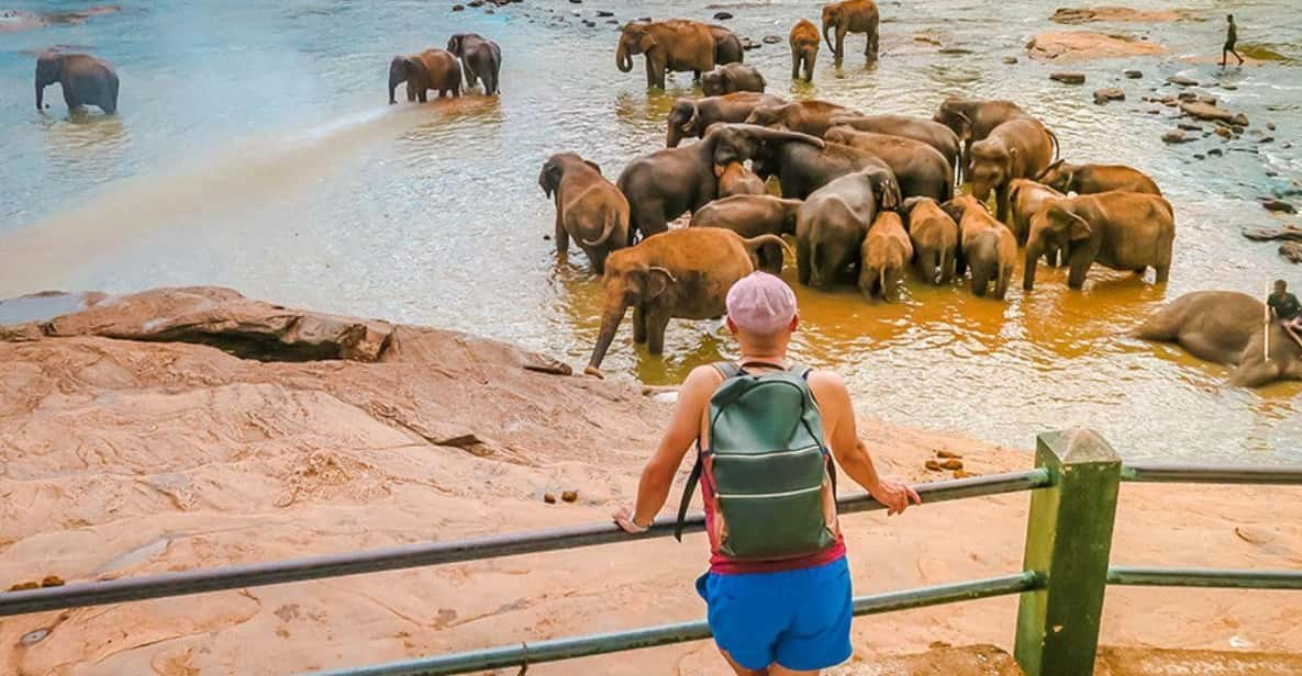 From Colombo: Pinnawala Elephant Orphanage & Kandy Day Tour - Good To Know