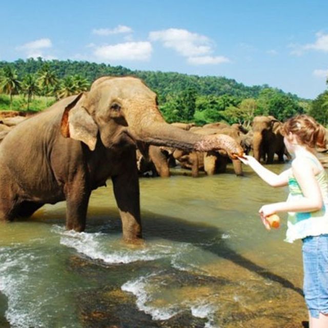 From Colombo: Private 2-Day Sri Lanka Highlights Trip - Inclusions and Exclusions