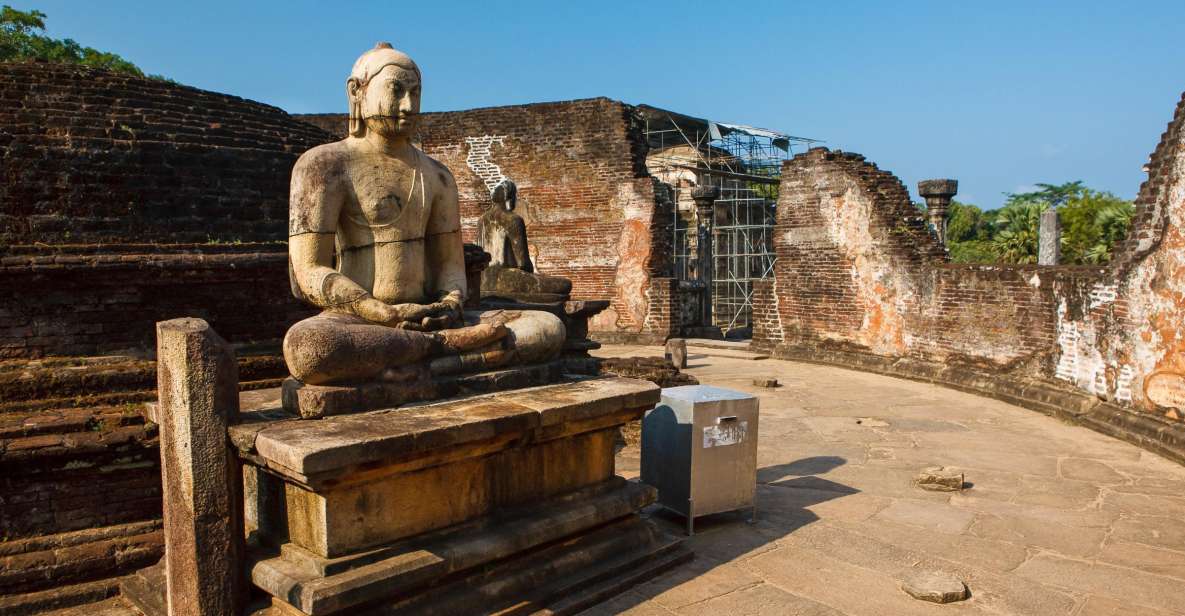 From Dambulla: Private Polonnaruwa and Minneriya Day Tour - Good To Know