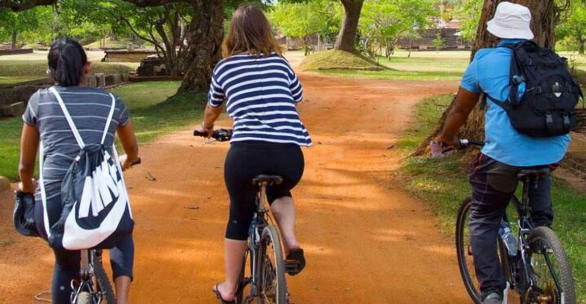 From Dambulla/ Sigiriya: Ancient City of Polonnaruwa by Bike - Good To Know