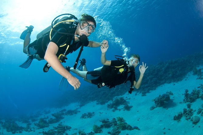 From Dubai: Discovery Scuba Diving Trip in Fujairah - Good To Know