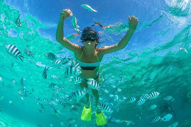 From Dubai: Snorkeling Trip in Fujairah - Good To Know