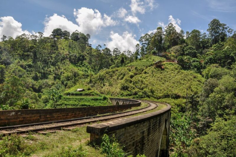 From Ella: Little Adam's Peak and Nine Arches Bridge Hiking - Good To Know