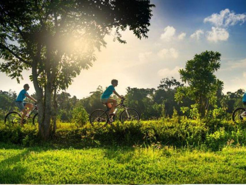 From Galle: Exclusive Village & Lagoon Cycling Tour in Galle - Good To Know