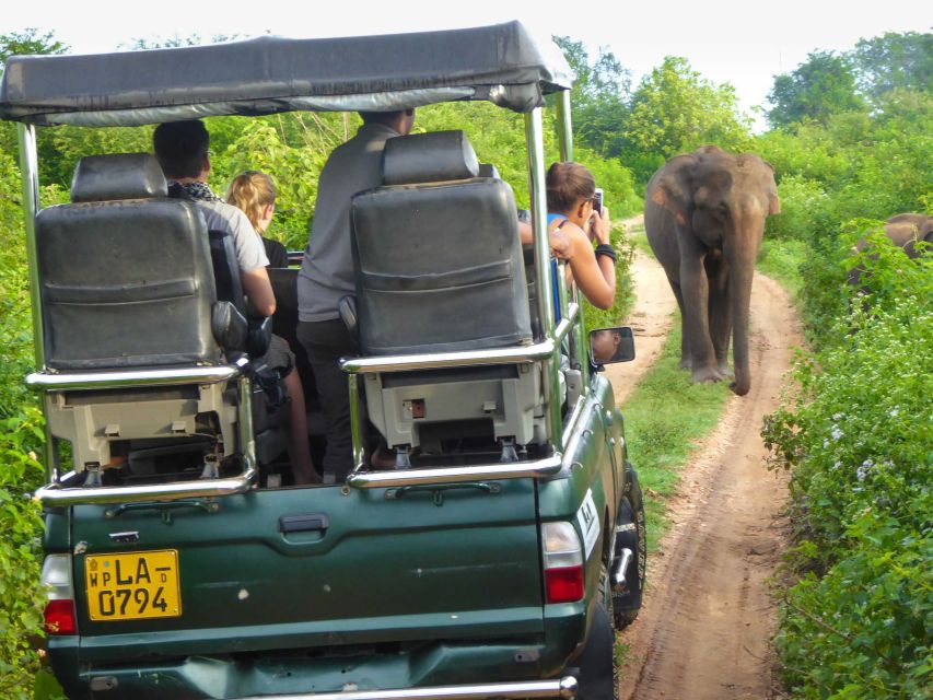 From Galle or Mirissa: Yala Safari With Lunch at Campsite - Good To Know