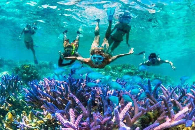From Gili Trawangan: Island Hopping Snorkeling Trip - Good To Know
