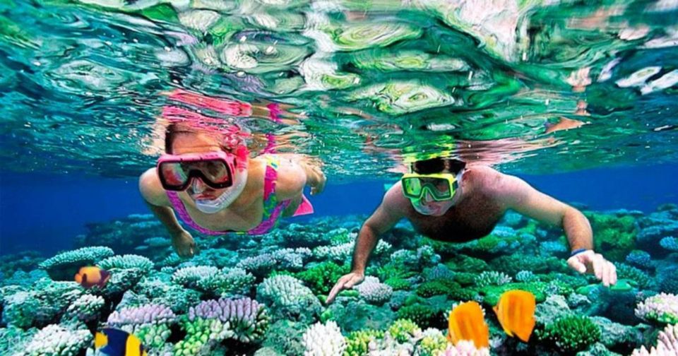 From Hurghada: 4-Hour Snorkeling Trip at 2 Sites With Lunch - Good To Know