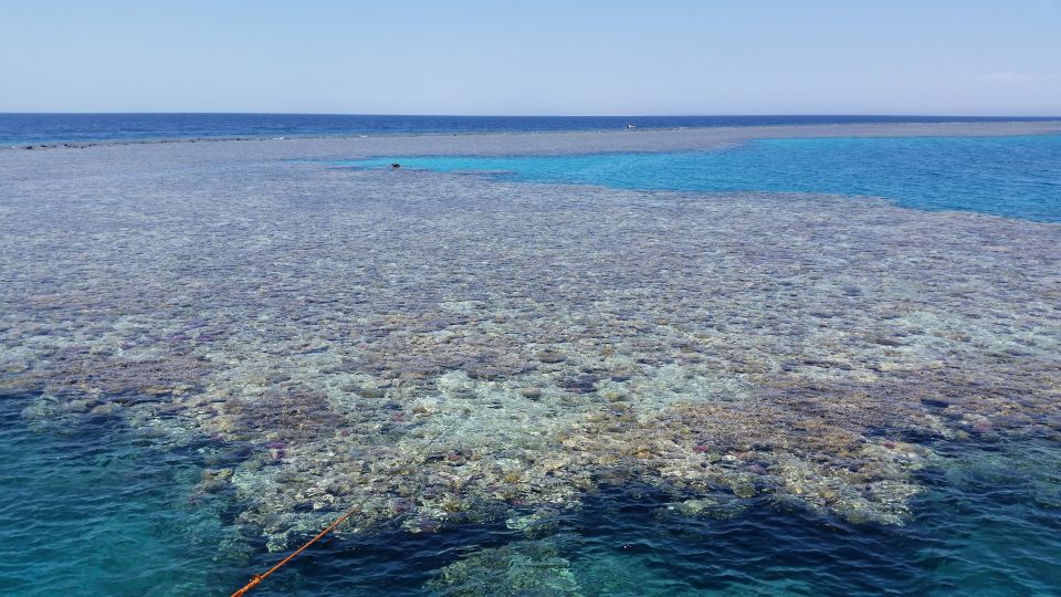 From Hurghada: Premier Sailing Boat Trip With Buffet Lunch - Good To Know