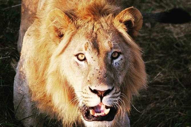 From Kigali: 12 Hour Custom Day Trip for Game Drive in Akagera NP - Good To Know