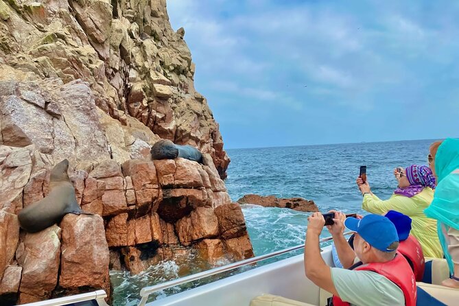 FROM LIMA! Ballestas Islands + Huacachina + Chincha and More - Good To Know
