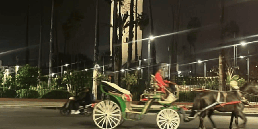 From Marrakech: 3-Day Desert Tour to Fes - Departing Marrakech