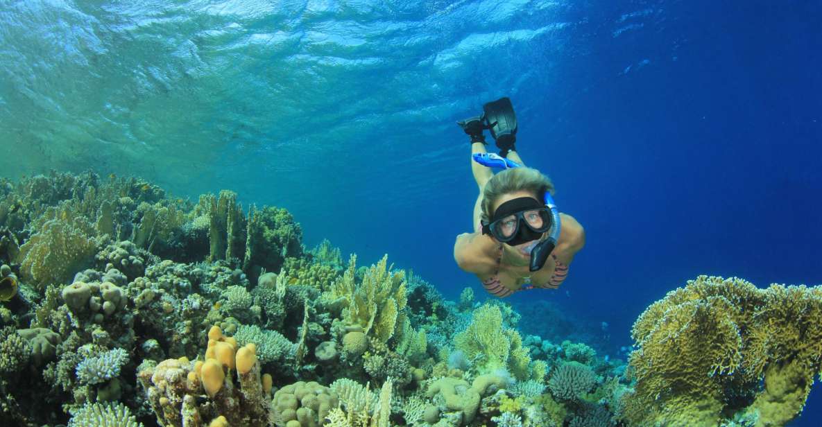 From Marsa Alam: Marsa Mubarak Sea Snorkeling Boat Trip - Good To Know