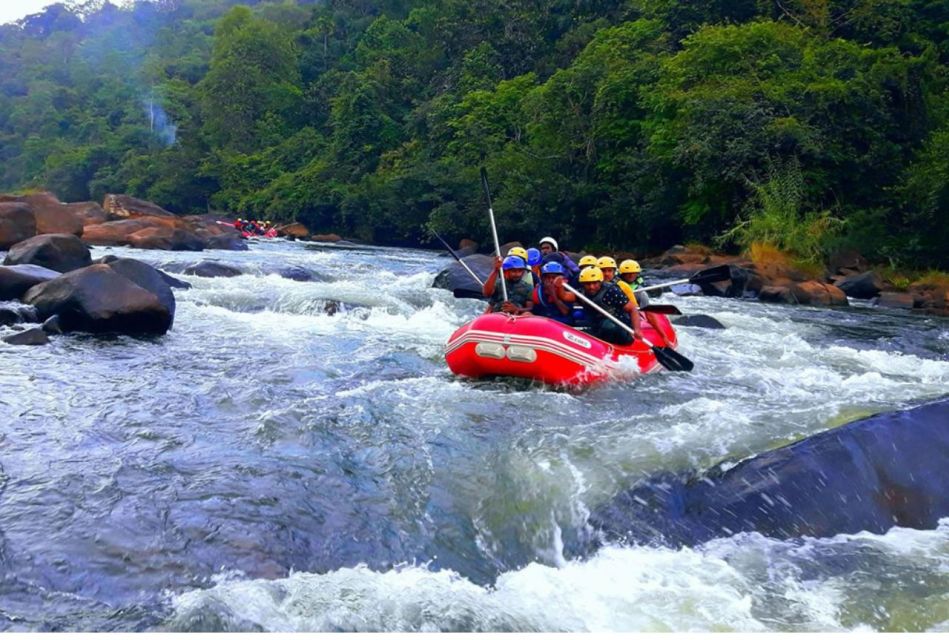 From Nuwara Eliya: White Water Rafting in Kithulgala - Good To Know