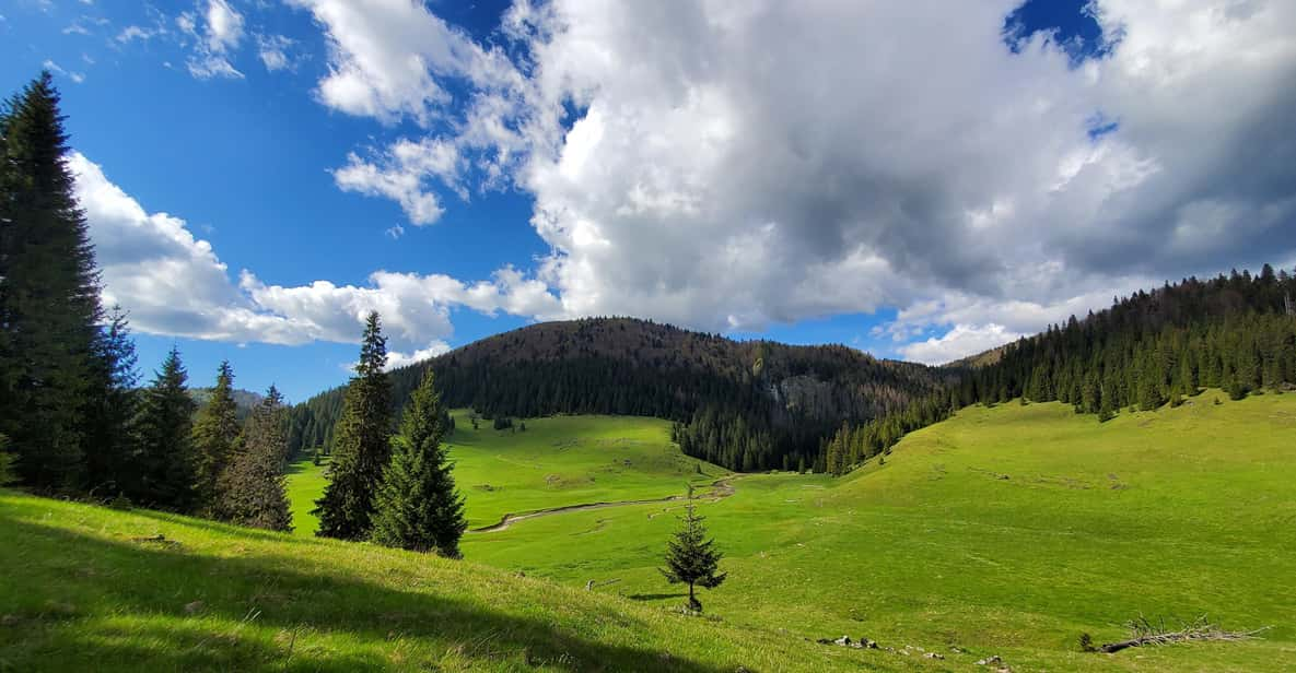 From Oradea:Carpathian Mountains Guided Scenic Hike - Good To Know