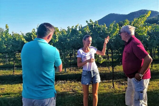 From Padua, Wine Tour in the Euganean Hills - Discovering Family-Owned Wineries