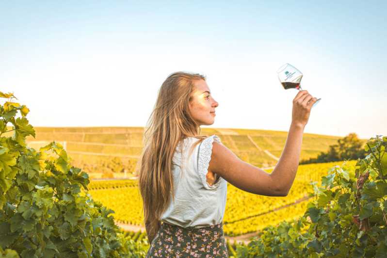 From Paris: Private Sancerre Wine Tour W 10 Tastings & Lunch - Itinerary Highlights