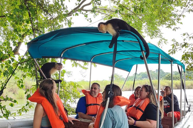 From Riu Playa Blanca - Monkey Eco Boat & Old City Tour - Good To Know