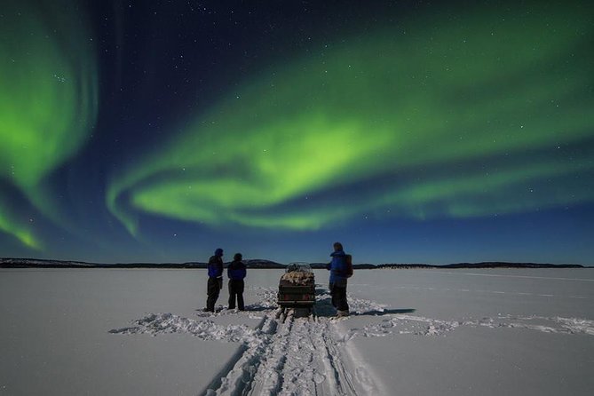 From Saariselkä: Northern Lights Tour to Lake Inari, Including Dinner - Good To Know