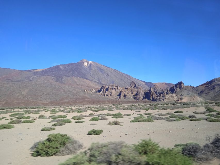 From Tenerife: Teide National Park Guided Day Trip by Bus - Trip Overview and Pricing