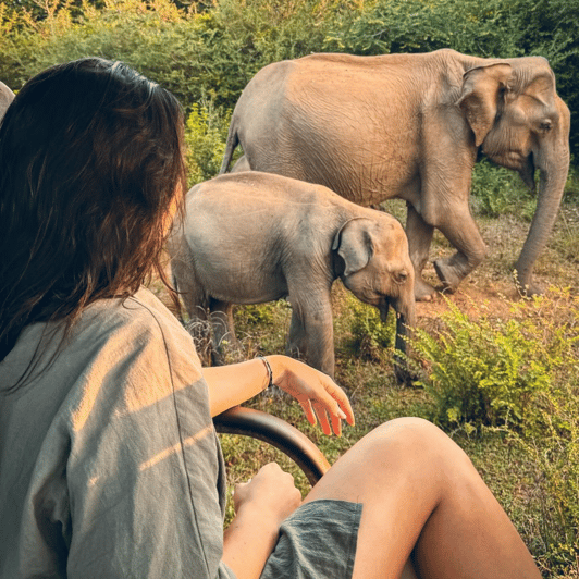 From Trincomalee - Nilaweli : Minneriya Kaudulla Safari - Good To Know