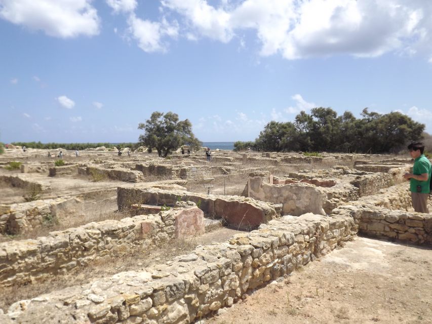 From Tunis or Hammamet: Cap Bon Peninsula Full-day Tour - Good To Know