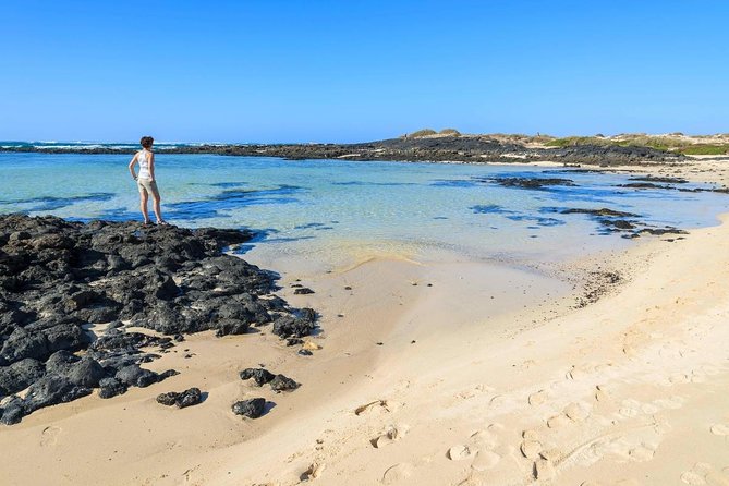 Fuerteventura: Guided VIP Highlights ISLAND TOUR Max 8 People - Key Points