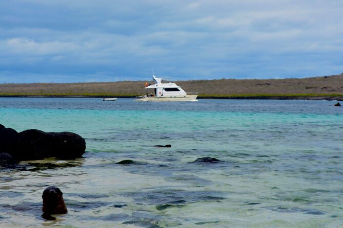 Full-day Adventure Tour at Espanola Island (Waved Albatross Island) - Tour Overview