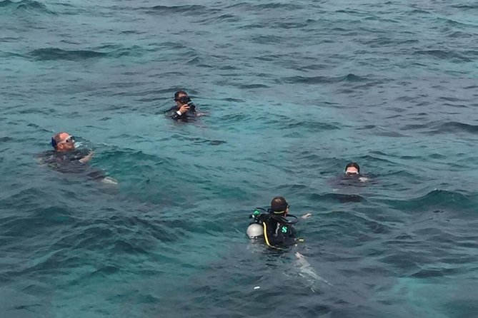 Full-Day at Catalina Island From Santo Domingo With Optional Snorkeling Included - Tour Overview and Details