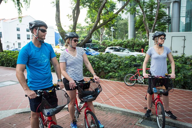 Full-Day Bike and Food Tour of Singapore - Good To Know