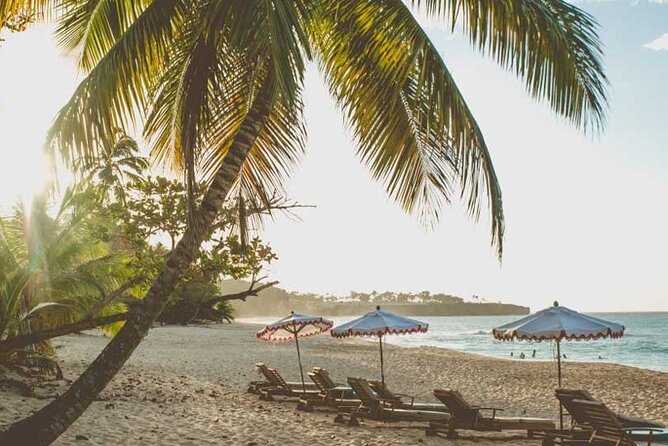 Full-Day Blue Lagoon Tour in Dominican Republic - Tour Overview