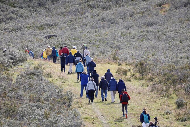 Full-day Estancia Visit and Condor Watching - About Your Stay