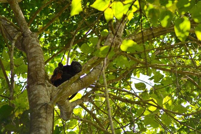 Full Day : Forest and the Fisherman Trail (From Guayaquil) - Good To Know