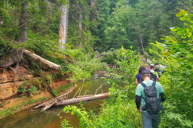 Full Day Gauja National Park Ultimate Hiking & Sightseeing Trip - Good To Know