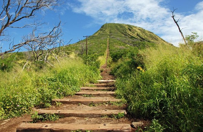 Full-Day Guided Adventure in Koko Head Stairs and Southeast Oahu - Good To Know