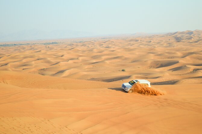 Full-Day Guided Red Dunes Desert Tour in Dubai With Camel Ride - Good To Know