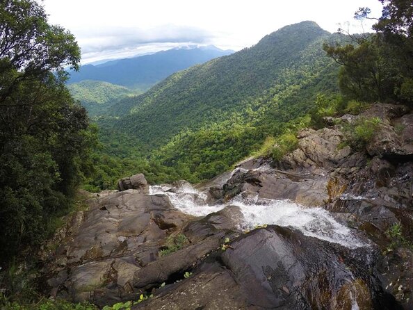Full Day: Hoi an - Bach Ma National Park - Good To Know