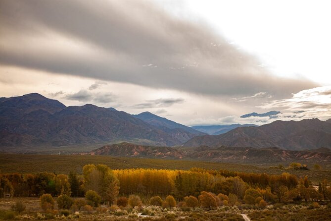 Full Day Horseback Riding at the Foot of the Andes.