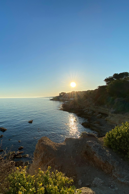 Full Day in Côte Bleue: Scenic Nature Walk and Boat Tour - Key Points