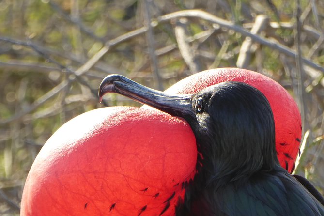 Full Day Isla De La Plata Sunshine Route From Guayaquil - Good To Know