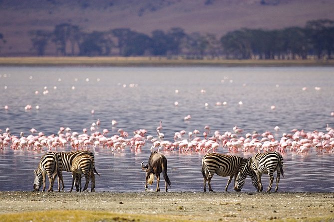 Full-Day Lake Nakuru National Park From Nairobi - Tour Overview