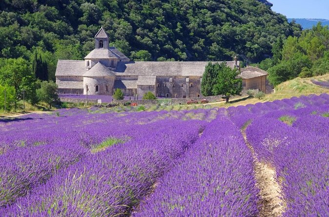 Full-Day Luberon Tour From Avignon - Good To Know